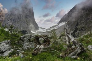 Can You Gates of Olympus Review 2026: Bonus, App, Withdrawal Tested